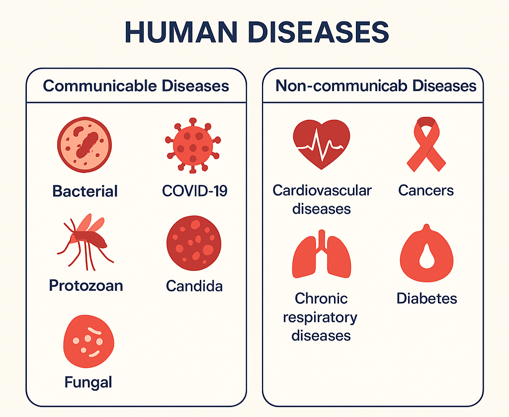 Human Diseases types